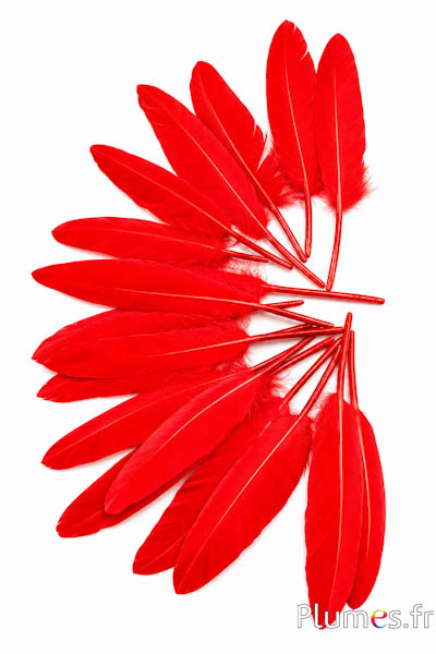 Gans - 10-15 cm - rood